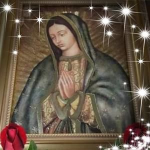 Meet your Posher, Alicia ruby